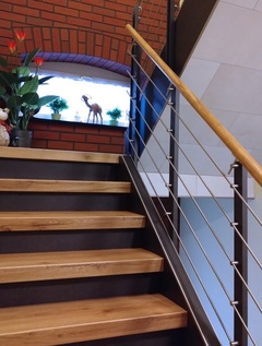 Treppenstufen und Zubeh&ouml;r